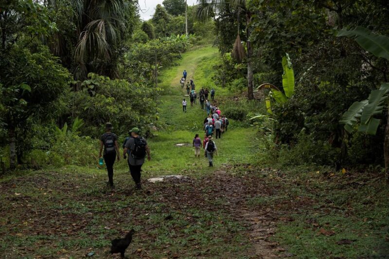 Jungle of the Mirrors 4 Days 3 Nights - Day 3: Jungle Hikes and Piranha Fishing