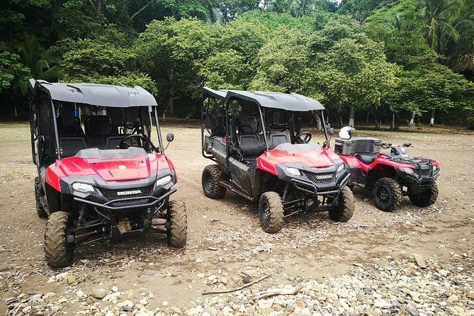 Jungle & River BUGGY Exploration. Private Tour - Buffet Lunch With Refreshments