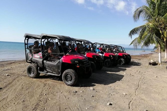 Jungle & River BUGGY Exploration. Private Tour - Immersive Rainforest Exploration
