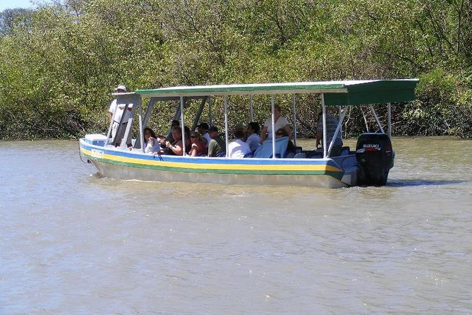 Jungle River Cruise and Coffee Tour - Exploring the Palo Verde Wetlands