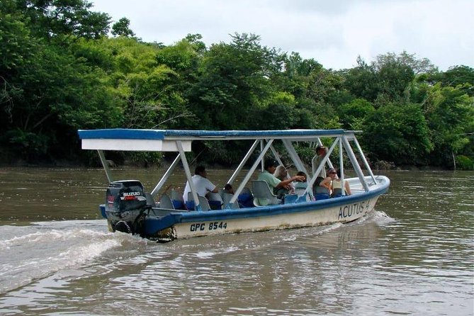 Jungle River Cruise and Coffee Tour - Learning About Coffee Production
