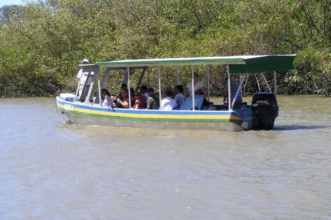 Jungle River Cruise and Coffee Tour - Sampling Local Coffee Brews
