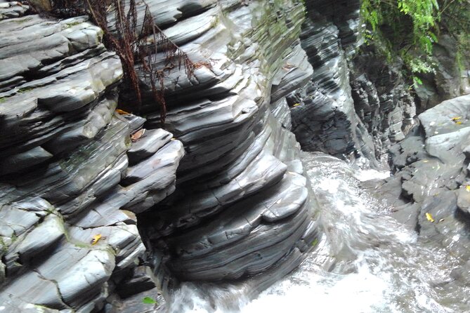 Jungle River Trek: Private Tour in Yanbaru, North Okinawa - Additional Tour Information