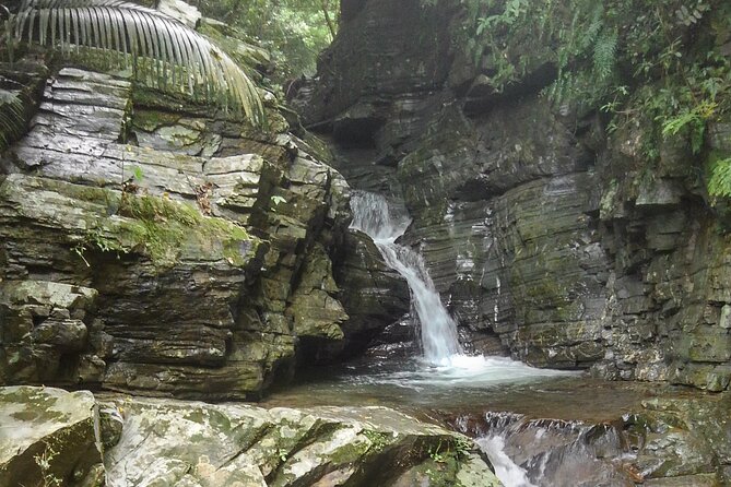 Jungle River Trek: Private Tour in Yanbaru, North Okinawa - Tour Duration and Group Size