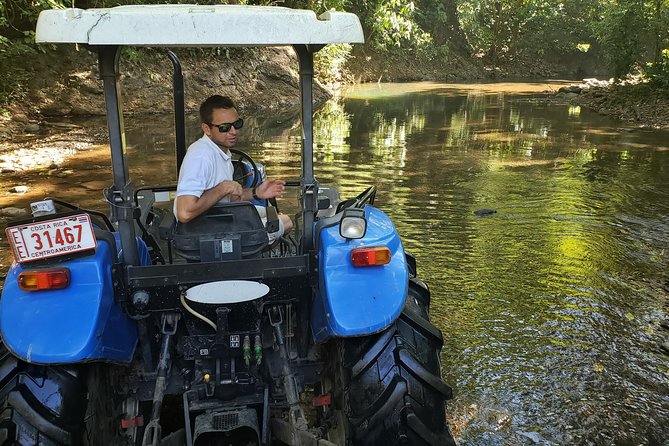 Jungle & River Wagon Expedition. Puntarenas Shore Excursions - Key Points