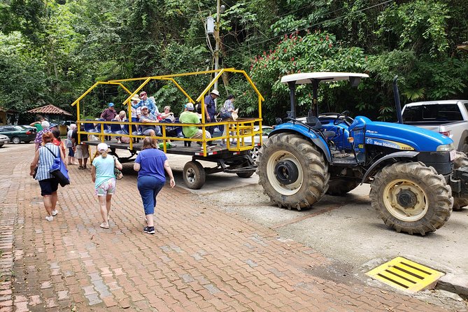 Jungle & River Wagon Expedition. Puntarenas Shore Excursions - Included in the Tour