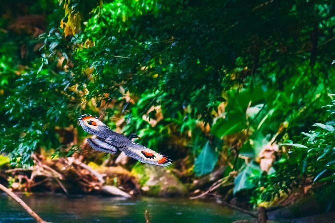Jungle Safari Float on Sarapiqui River From La Fortuna - Pricing and Booking Information