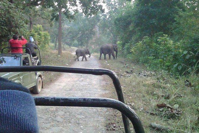 Jungle Safari - Rajaji National Park Half Day Tour - Inclusions