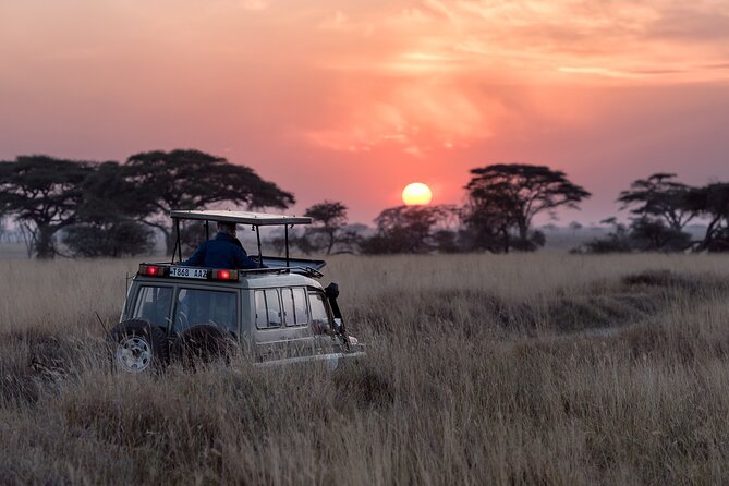 Jungle Safari - Rajaji National Park Half Day Tour - Reviews and Feedback