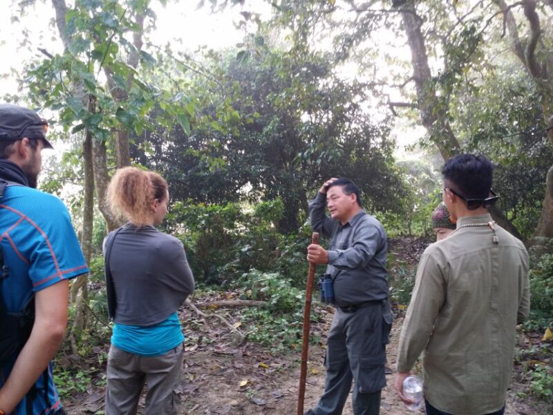 Jungle Safari - Itinerary Highlights