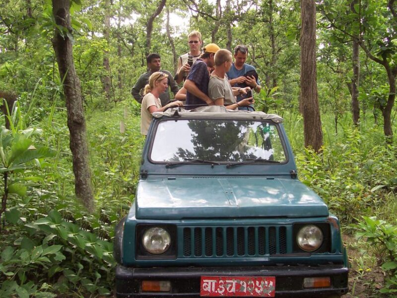 Jungle Safari - Wildlife Experiences