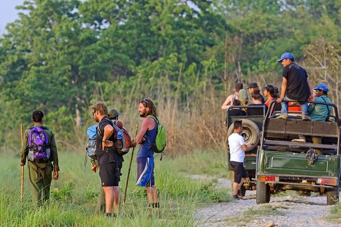 Jungle Safari Tour in Chitwan National Park - Booking Information