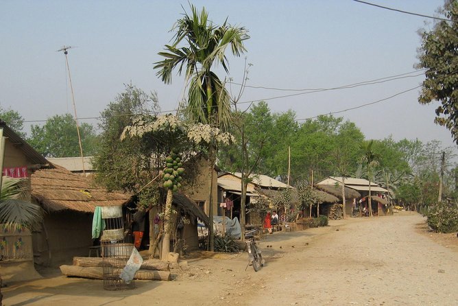 Jungle Safari Tour in Chitwan National Park - Private Transportation and Airfare