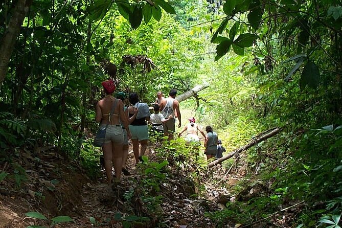 Jungle & Sea Mogos - Osa Peninsula - Physical Fitness Requirements