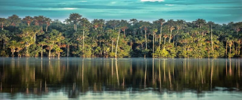 Jungle Tambopata 2D |Monkey Island + Search for Alligators| - Daily Itinerary: Day 1