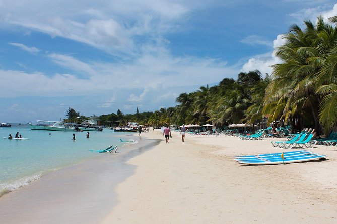 Jungle Top Zipline, Monkeys& Sloths + West Bay Beach - West Bay Beach