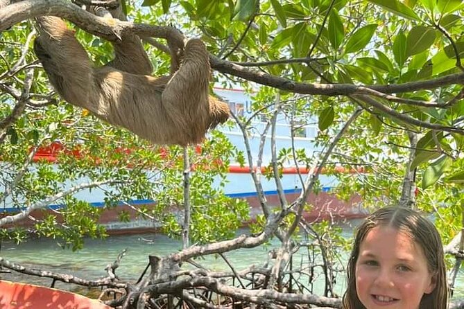 Jungle Top Zipline Suspension Bridges, Monkeys and Sloth Hangout - Wildlife Interaction