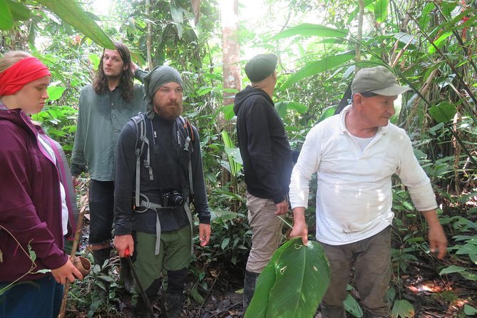 Jungle Tour 3 Days / 2 Nights - Vibrant Jungle Experiences