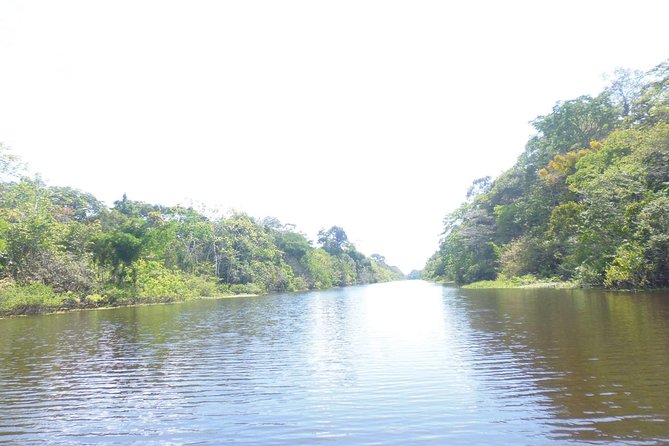 Jungle Tour 3 Days / 2 Nights - Exploring the Amazon