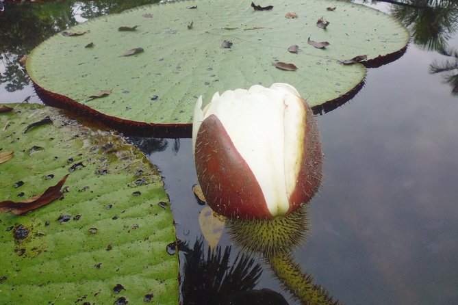 Jungle Tour 3 Days / 2 Nights - Vibrant Jungle Experiences