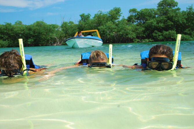 Jungle Tour Adventure in Cancun With Snorkeling - Traveler Experiences