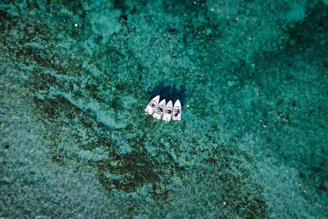 Jungle Tour & Snorkel at Punta Nizuc Reef , Underwater Museum - Mangrove Cruise and Jungle Scenery