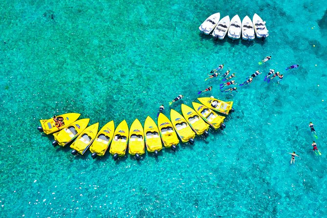 Jungle Tour With Snorkel in Cancun - Customer Feedback