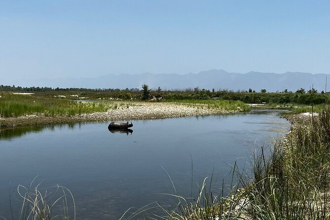 Jungle Tower Night Stay in Chitwan National Park 2 Nights 3 Days - Transportation and Pickup