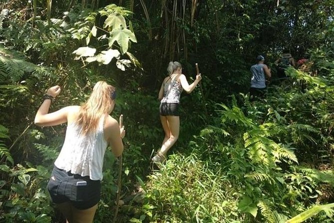 Jungle Tracking & Volcano Crater - Confirmation and Accessibility