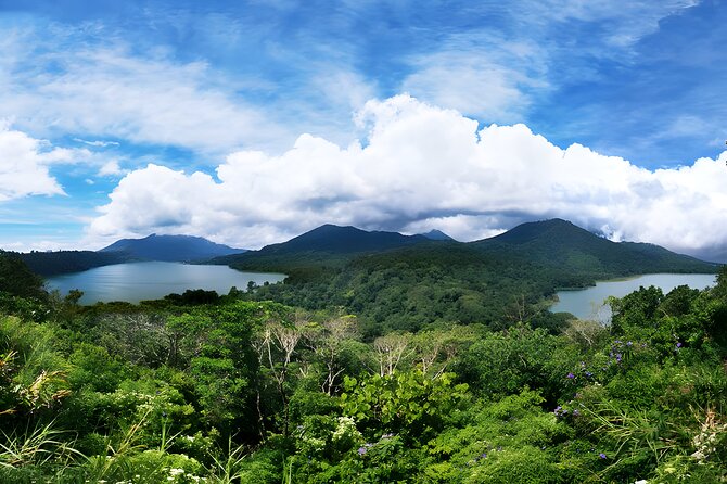 Jungle Trekking and Tamblingan Lake Canoeing in Bali Rainforest - Customer Feedback and Satisfaction