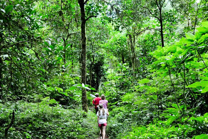 Jungle Trekking and Tamblingan Lake Canoeing in Bali Rainforest - Customer Support and Assistance