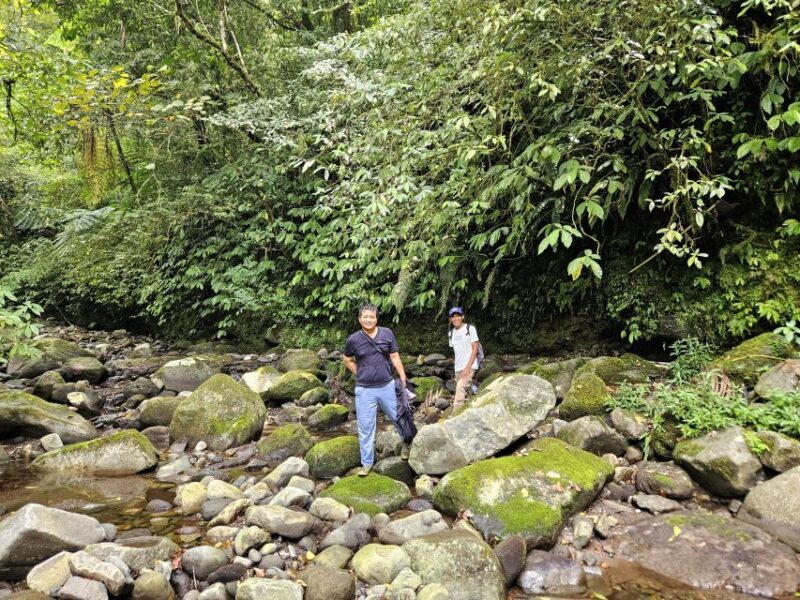 Jungle Trekking at Mt. Batukaru, Scenic Waterfall & Village - Itinerary Highlights