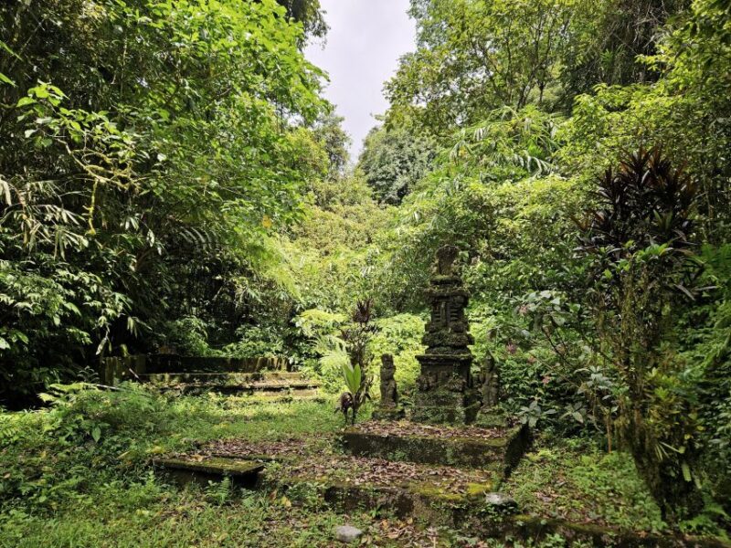 Jungle Trekking at Mt. Batukaru, Scenic Waterfall & Village - Jungle Trekking Experience