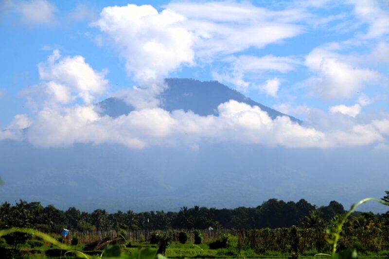 Jungle Trekking at Mt. Batukaru, Scenic Waterfall & Village - Cultural Interaction