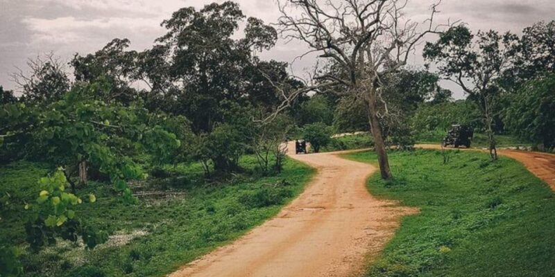 Jungle Trekking in Yala Buffer Zone From Hambantota Harbor - Key Points