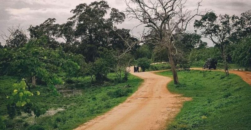 Jungle Trekking in Yala Buffer Zone From Hambantota Harbor - Included Amenities and Services