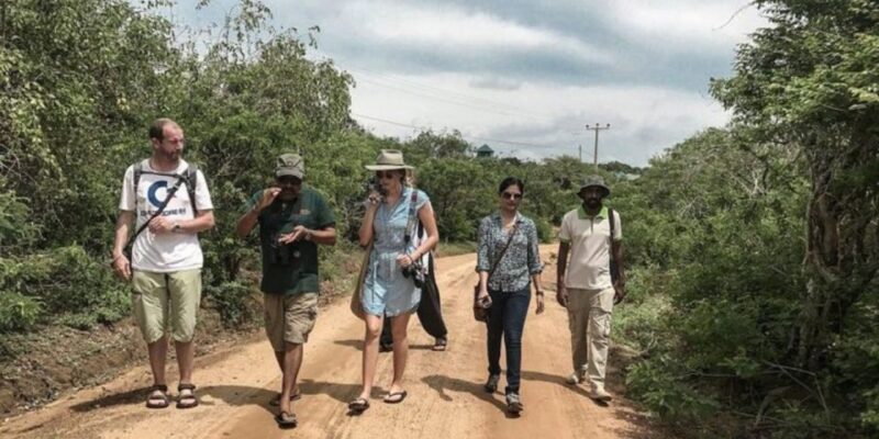 Jungle Trekking in Yala Buffer Zone From Hambantota Harbor - Restrictions and Considerations