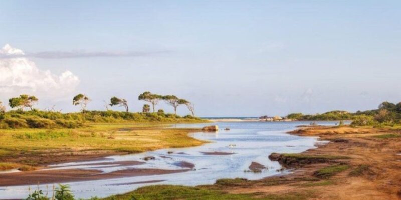Jungle Trekking in Yala Buffer Zone From Hambantota Harbor - Reservation and Booking Details