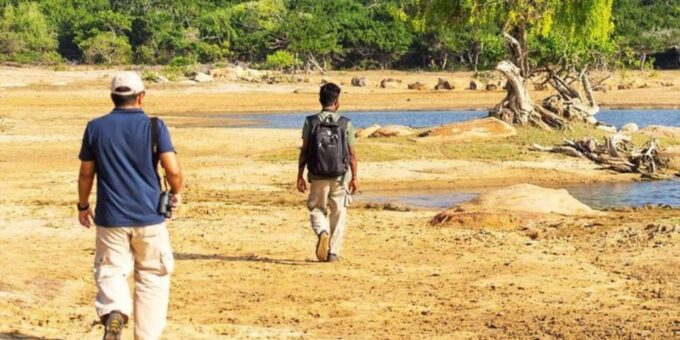 Jungle Trekking in Yala Buffer Zone From Hambantota Harbor - Guidance and Transportation Provided