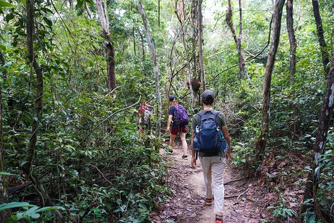 Jungle Trekking Tour at Phnom Kulen National Park From Siem Reap - Pricing and Group Discounts