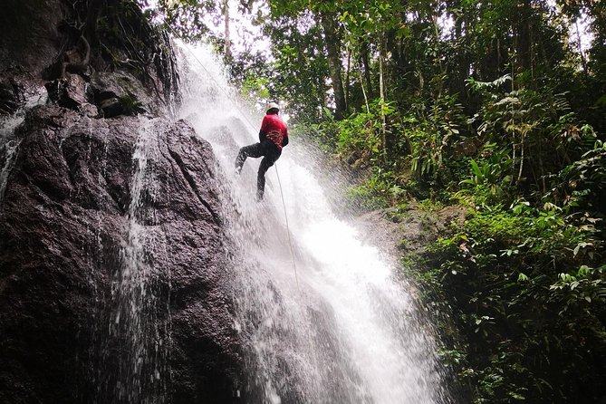 Jungle Trekking + Waterfall Abseiling - Meeting & Pickup Information