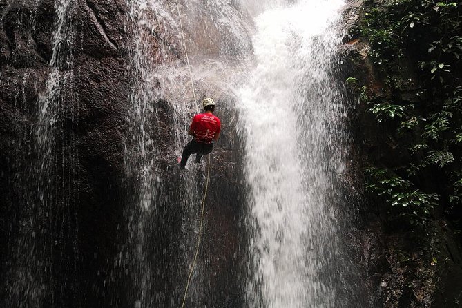 Jungle Trekking + Waterfall Abseiling - Tour Highlights