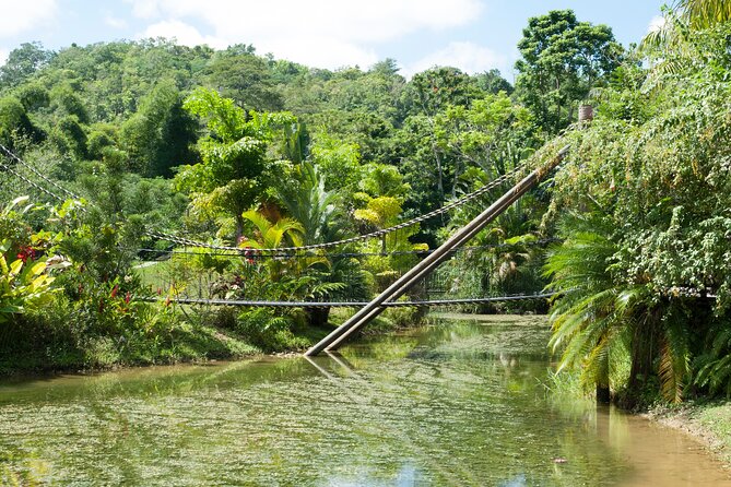Jungle Zipline and River Tubing Private Tour in Barbados - Tips for a Great Adventure