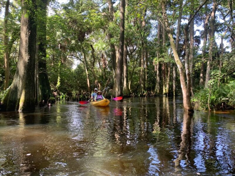 Jupiter: Loxahatchee River Scenic Kayak Tour - Booking Information