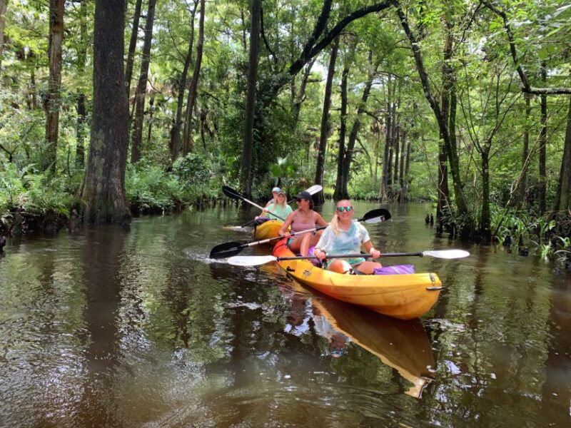 Jupiter: Loxahatchee River Scenic Kayak Tour - Experience Highlights