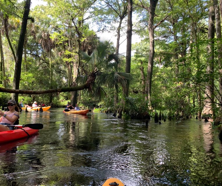 Jupiter: Loxahatchee River Scenic Kayak Tour - Inclusions