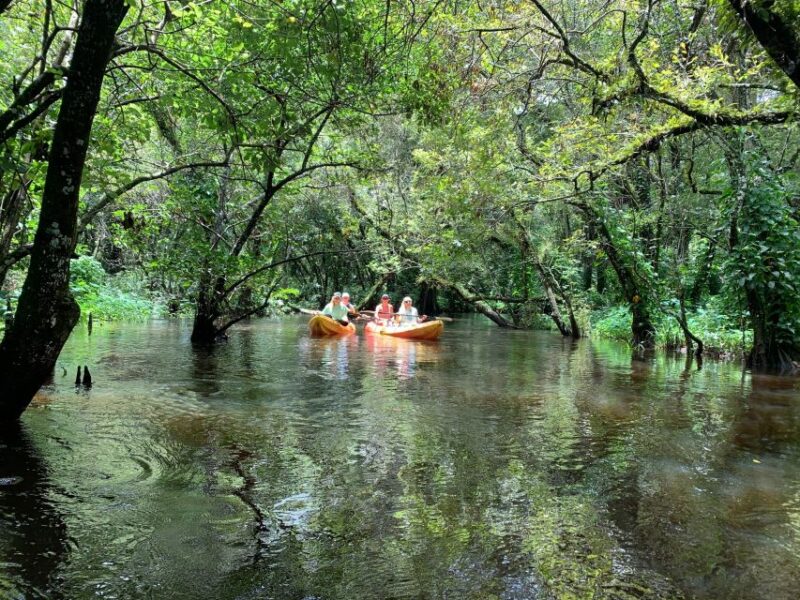 Jupiter: Loxahatchee River Scenic Kayak Tour - Loxahatchee River Exploration