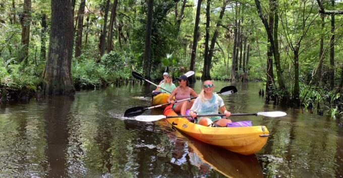 Jupiter: Loxahatchee River Scenic Kayak Tour - Frequently Asked Questions