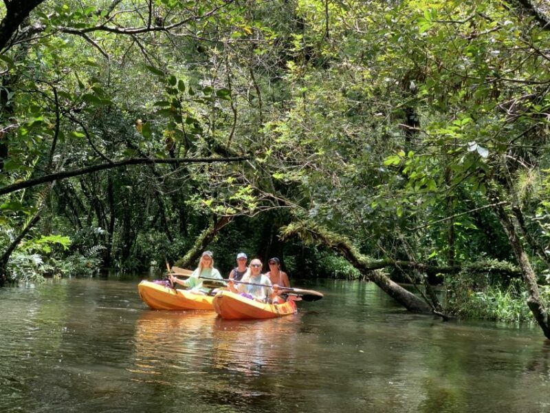 Jupiter: Wild and Scenic Loxahatchee River Kayak Tour - Exploring the Untamed Beauty of the Loxahatchee River