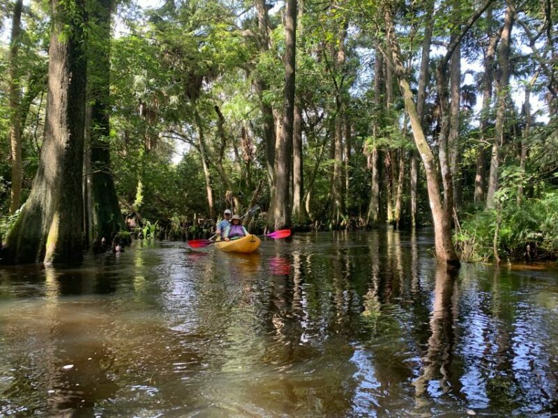 Jupiter: Wild and Scenic Loxahatchee River Kayak Tour - The Sum Up